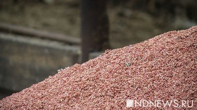 СМИ: Переговоры по зерновой сделке пройдут до конца недели